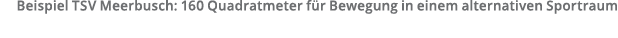 Beispiel TSV Meerbusch  160 Quadratmeter f r Bewegung in einem alternativen Sportraum